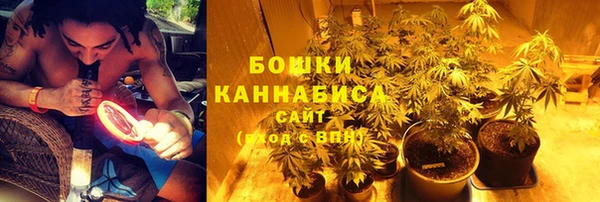 сатива Абинск