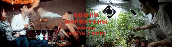молекула духа Ростов