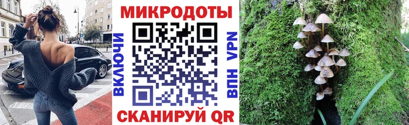 MEGA как войти  Вилюйск  Псилоцибиновые грибы мухоморы 